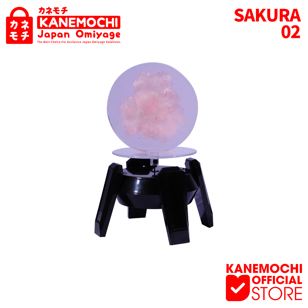 KANEMOCHI ORNAMEN SAKURA FREEZE - BUNGA SAKURA YAN... - Gambar 3
