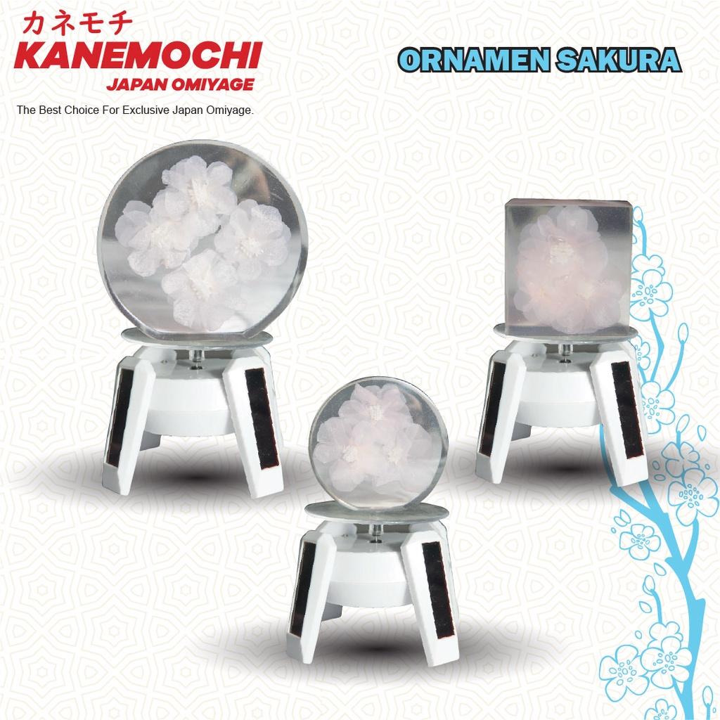 KANEMOCHI SOLAR ROTATING DISPLAY STAND -TEMPAT PAJ...