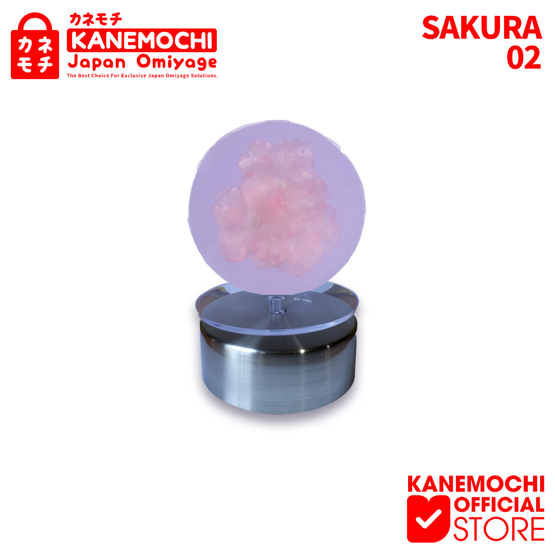 KANEMOCHI ORNAMEN SAKURA FREEZE - BUNGA SAKURA YAN... - Gambar 2
